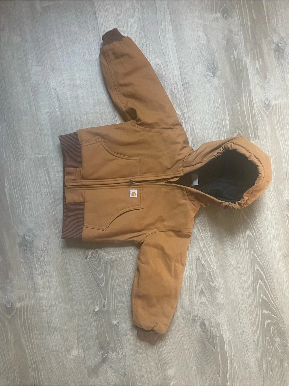 Carhartt Kids Insulated Hooded Jacket in Brown